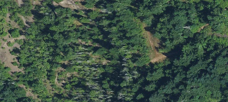 Eagle Creek, OR 97022