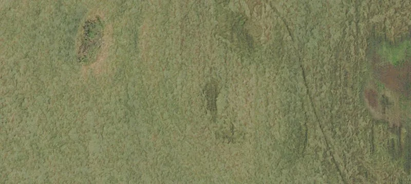 Lebanon, OR 97355
