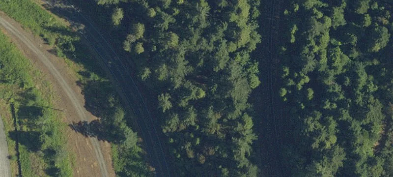 Oakridge, OR 97463