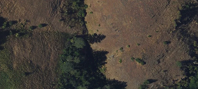 Adams, OR 97810