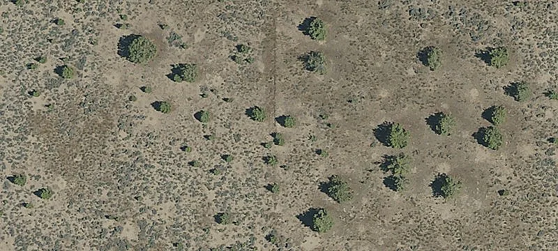 Prineville, OR 97754