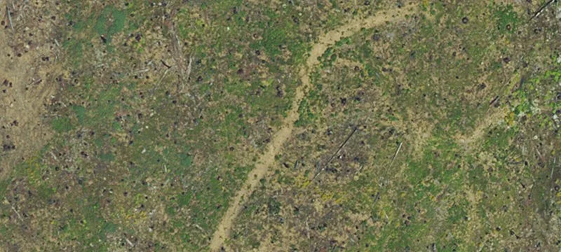 Idanha, OR 97350