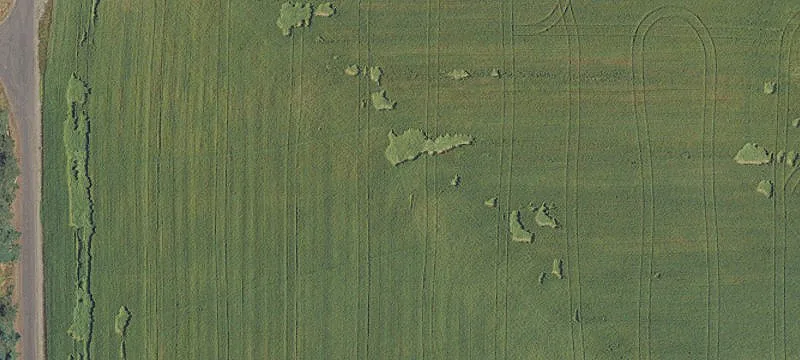 Sherwood, OR 97140