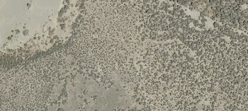 Christmas Valley, OR 97641