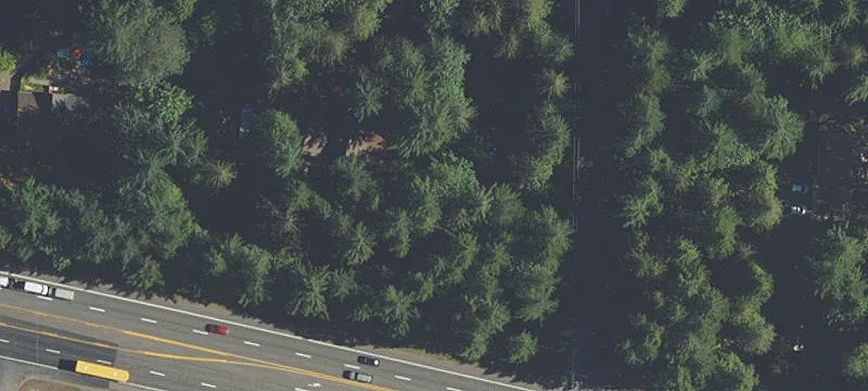 Rhododendron, OR 97049
