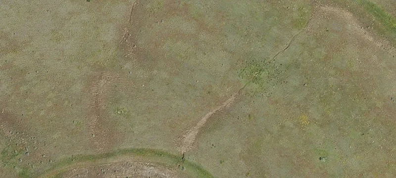 Cell Tower