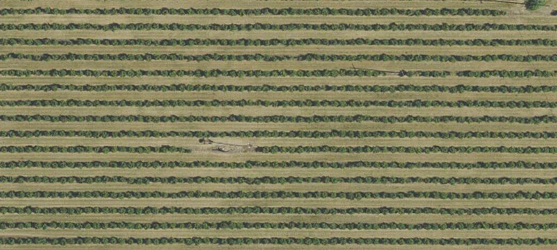 Aumsville, OR 97325