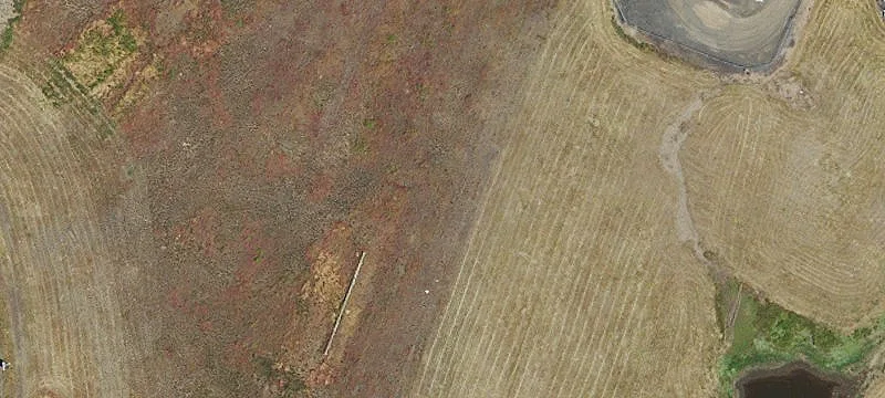 Condon, OR 97823