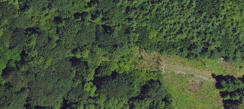 22539 Alsea Hwy