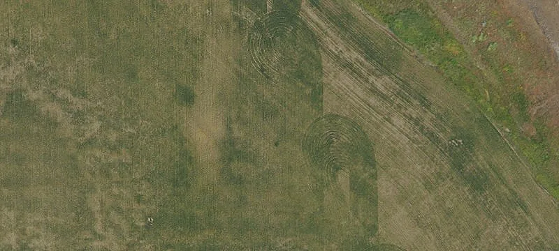 Condon, OR 97823