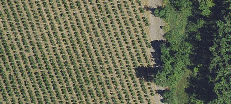 Aumsville, OR 97325