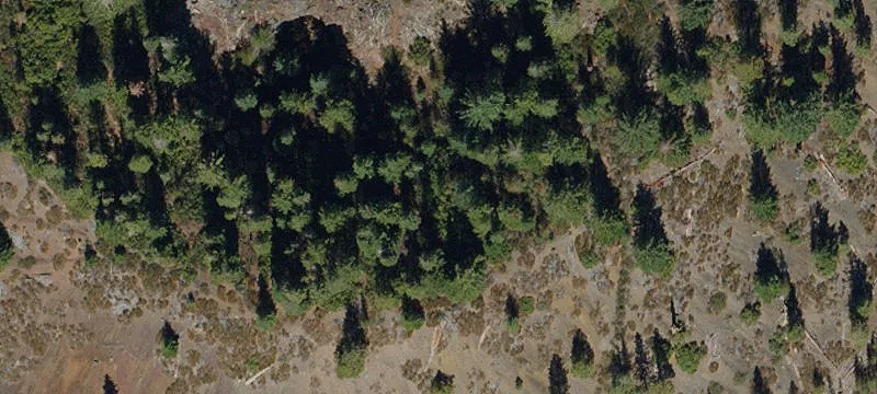 Crescent, OR 97733