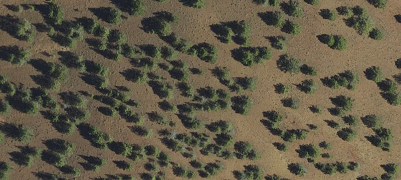  Mount