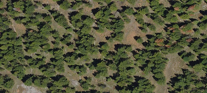 Mitchell, OR 97750