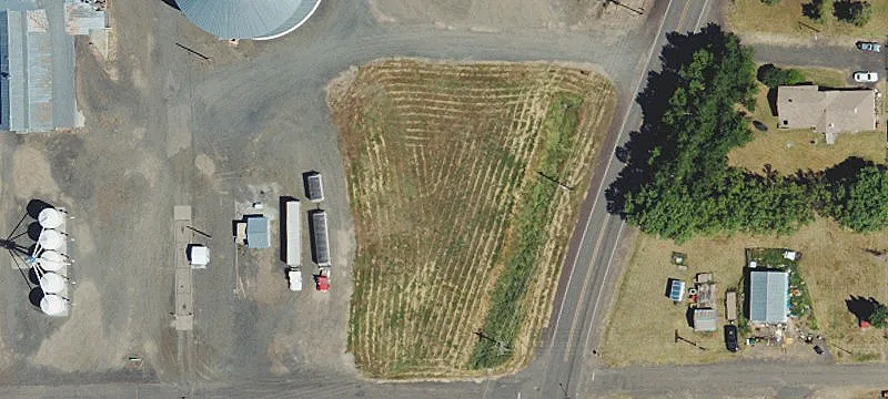 Condon, OR 97823