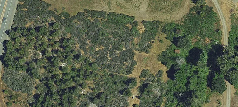 Redwood Hwy
