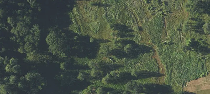 Old Stage Rd