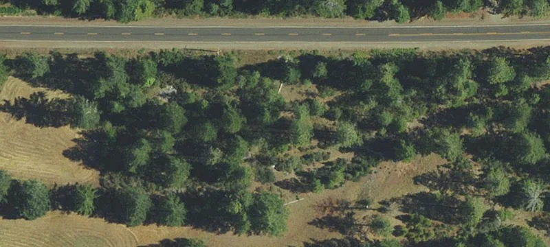 545 Lone Mtn Rd