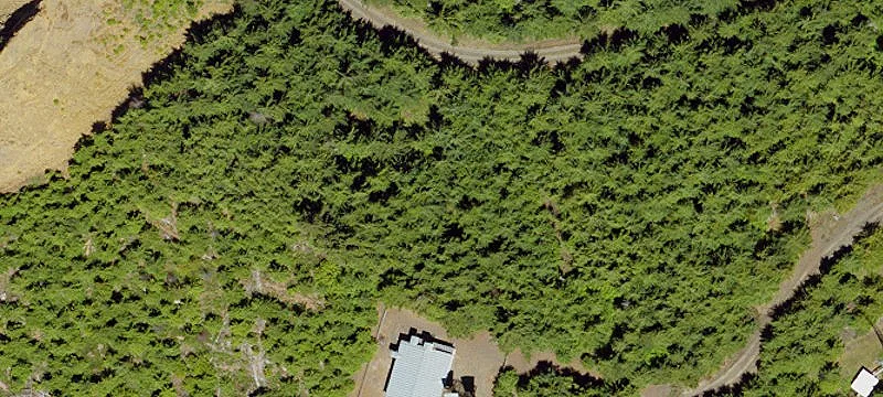 Nonpareil Rd