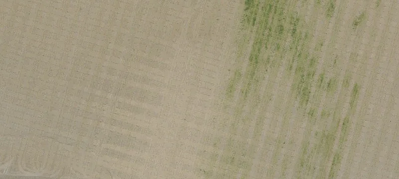 Feller NE Rd