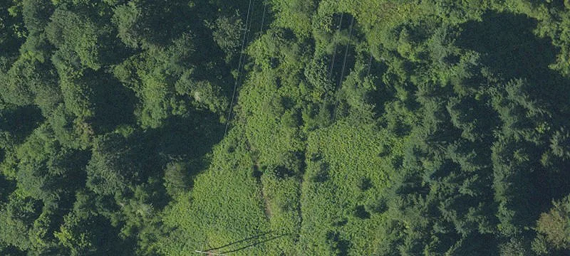Nonpareil Rd