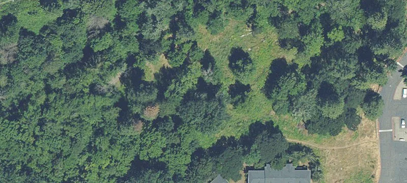 Woods Ct
