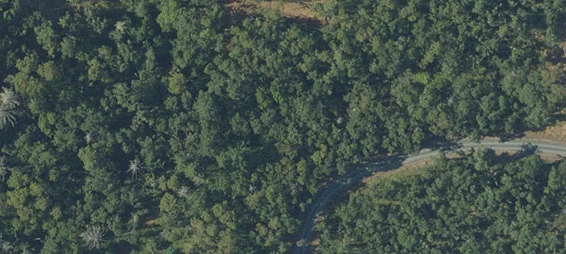1757 Riddle By Pass Rd