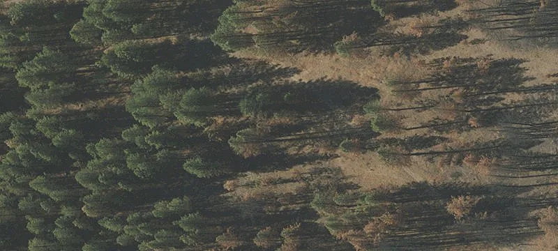 Beatty, OR 97621