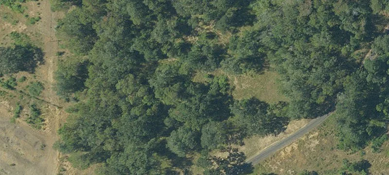 3932 Umpqua Hwy