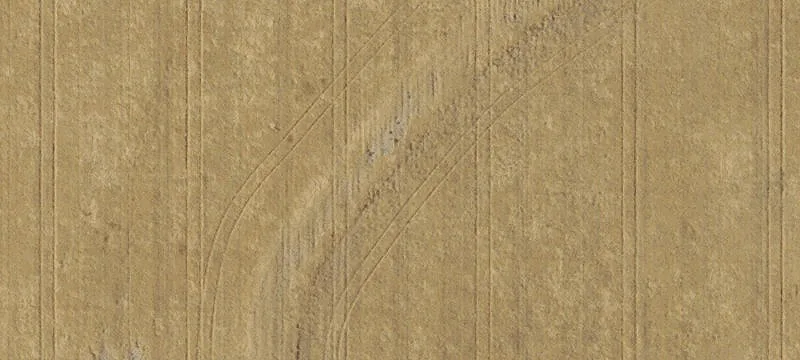 Weston, OR 97886