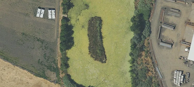 Pendleton, OR 97801