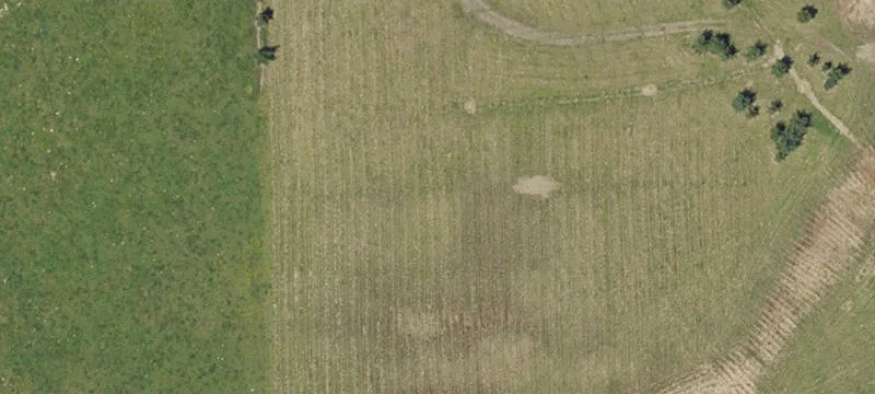 Broadbent, OR 97414