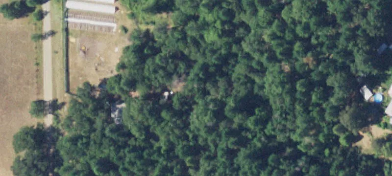 153 Cowboy Way