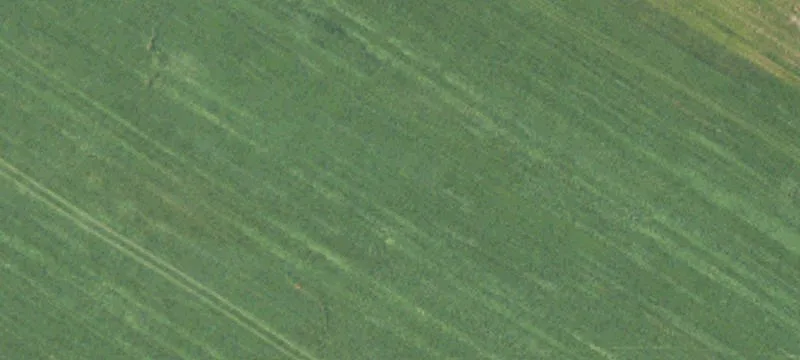 1886 Swamp Pike