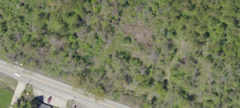 3735 Dry Run Rd