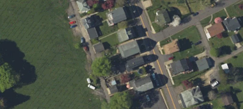 228 Robert St