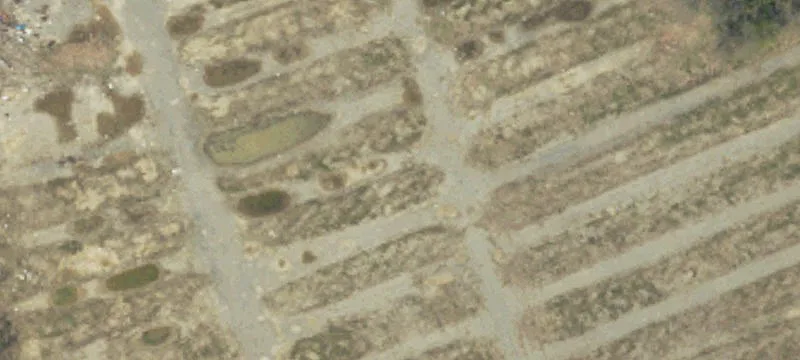 3216 Sand Spg Rd