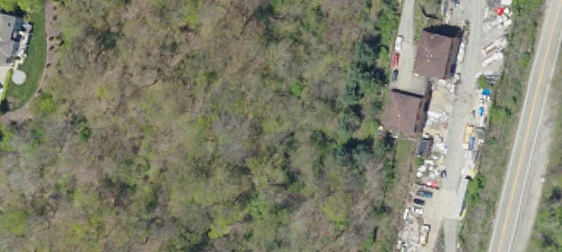 241 Mcaleer Rd