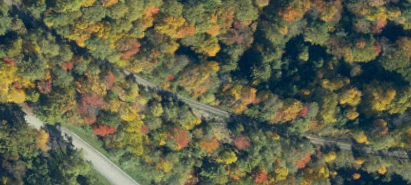 Clearfield County