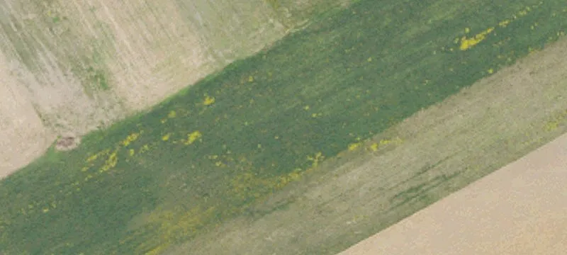 Rt 333