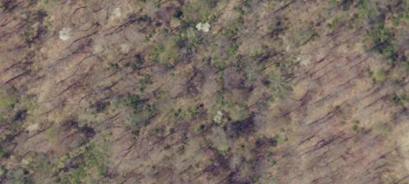 Waynesboro Pike
