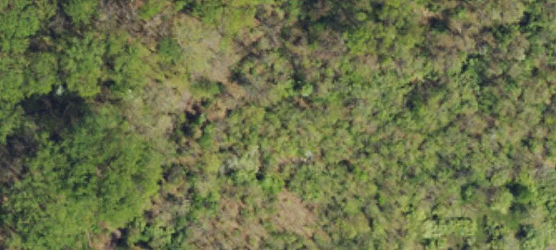 New Fls Rd