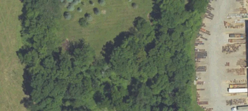 74 Walnut Dr