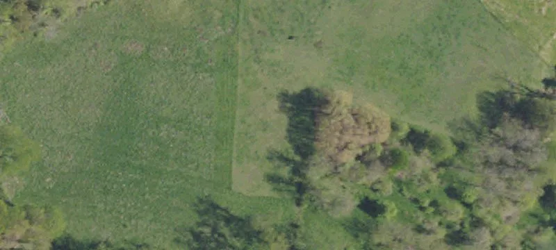 545 Mt Tabor Rd