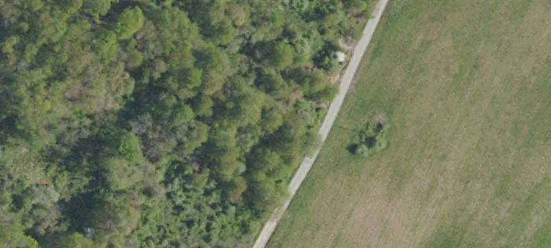 363 Morris Buncic Rd