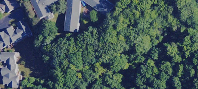 41 Gore Rd