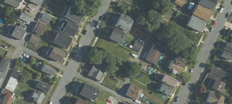 Linden Ave
