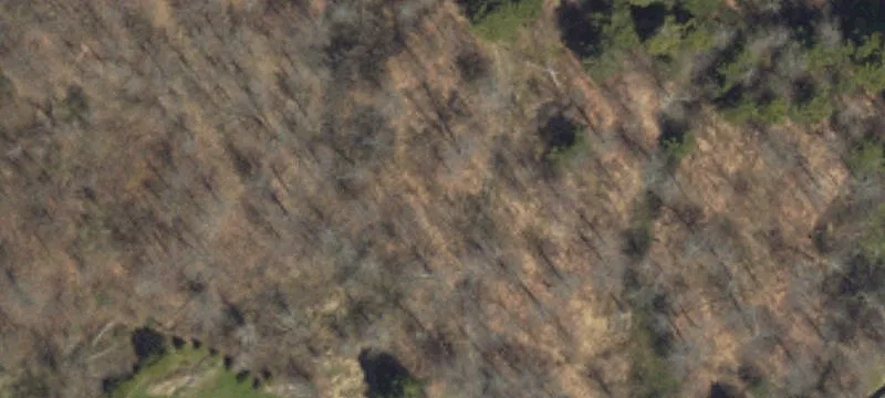1631 Rte 507