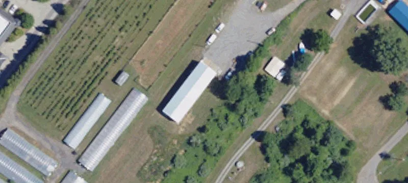 239 Lasher Rd