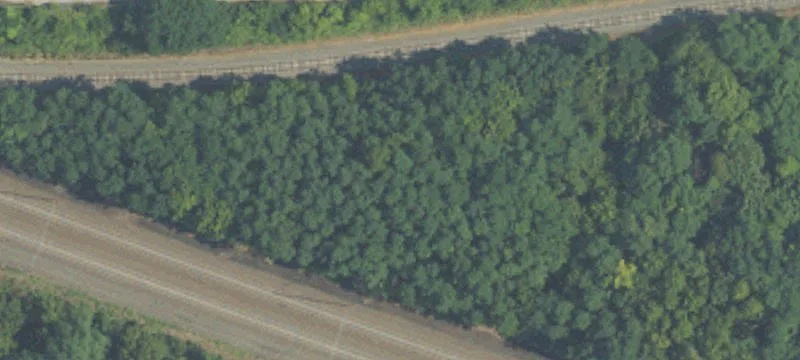 180 Greenfield Rd